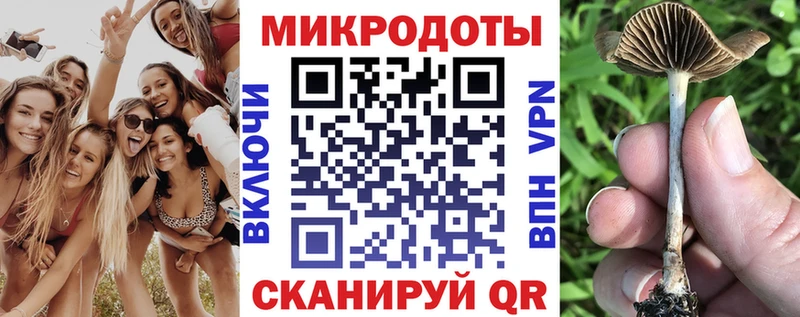 купить наркотики цена  Петушки  Псилоцибиновые грибы прущие грибы 